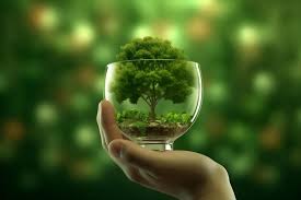 Proposta di Delibera per il Risanamento e la Riorganizzazione del Progetto di Forestazione Extra Urbana: Misure Urgenti e Strutturali per l'Utilizzo Efficiente dei Fondi Piano Nazionale di Ripresa e Resilienza (PNRR)